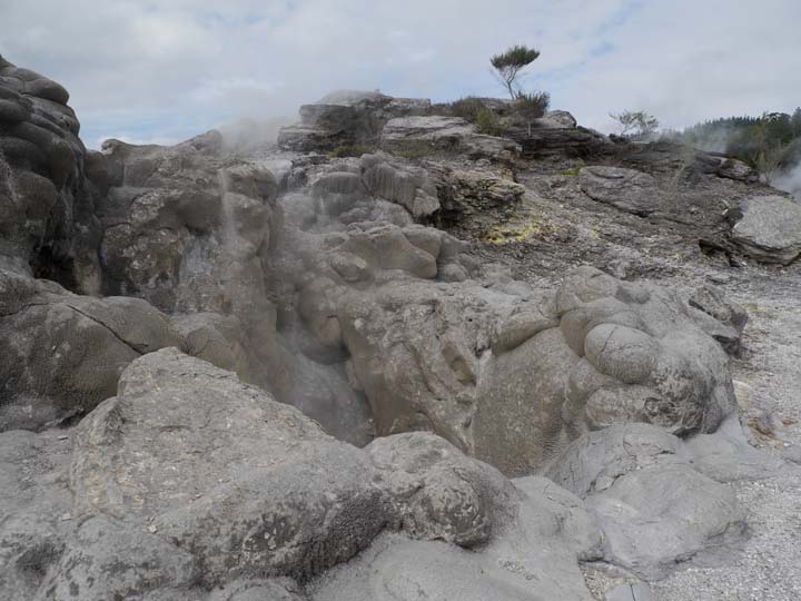 Te Puia - New Zealand
